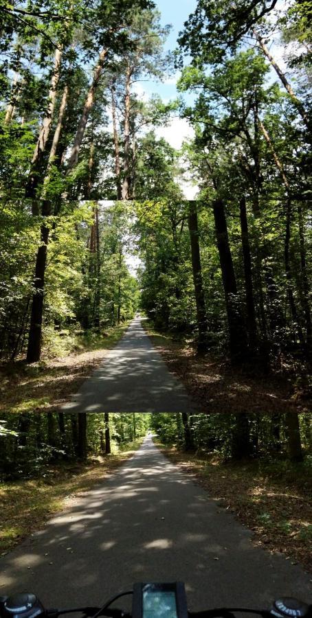 Agroturystyka U Izabelli Niemce Bagian luar foto